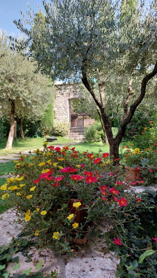 Azienda Agrituristica Corteforte Fumane Eksteriør bilde