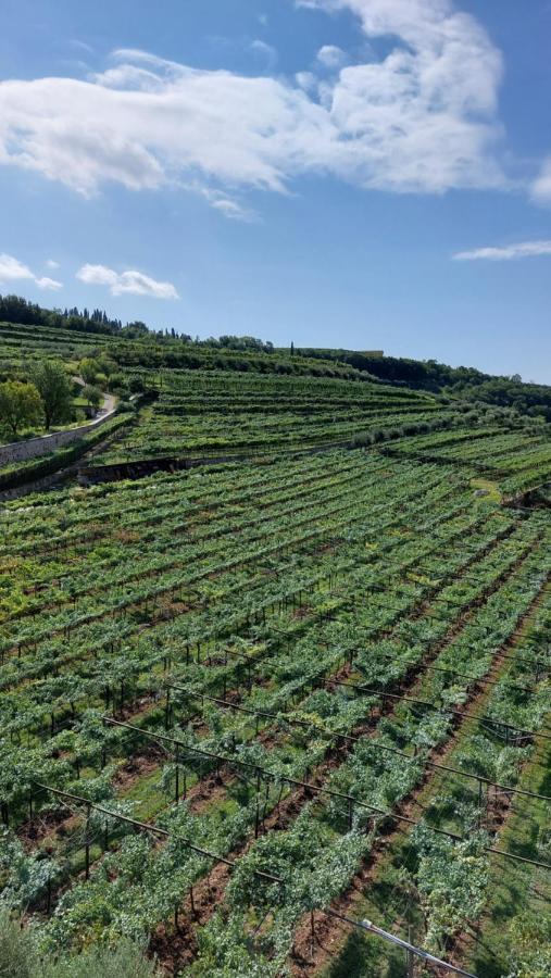 Azienda Agrituristica Corteforte Fumane Eksteriør bilde
