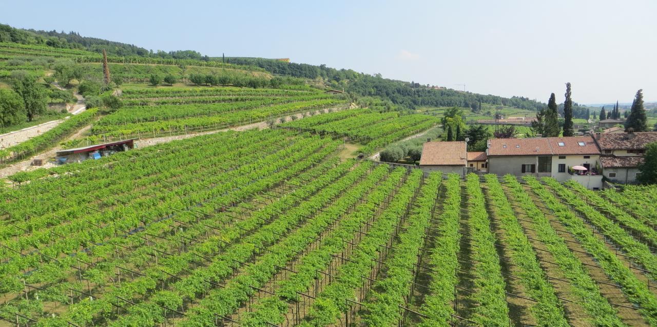 Azienda Agrituristica Corteforte Fumane Eksteriør bilde